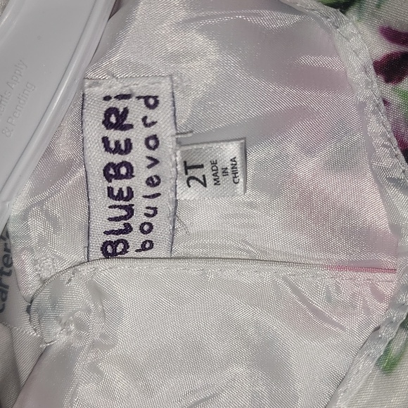 Blueber Boulevard Toddler girl sleeveless Fit & flare Dress Size 2T - Picture 4 of 8